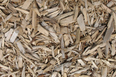 biomass boilers Trewennack